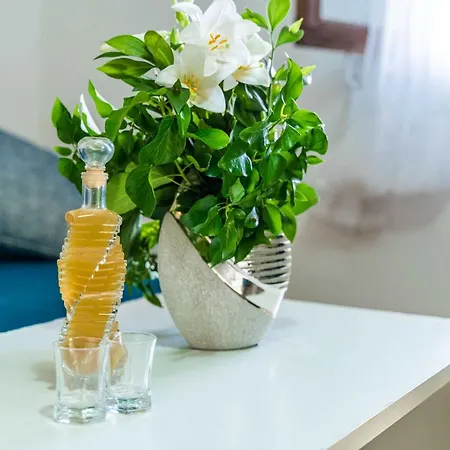 & Mara & Petrunjela - One Bedroom With Terrace And Sea View *