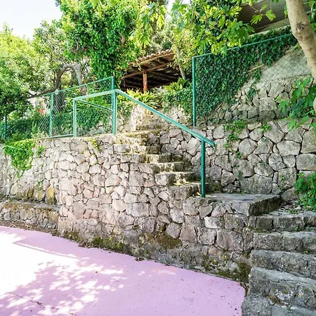 Διαμέρισμα & Mara & Petrunjela - One Bedroom With Terrace And Sea View Cavtat