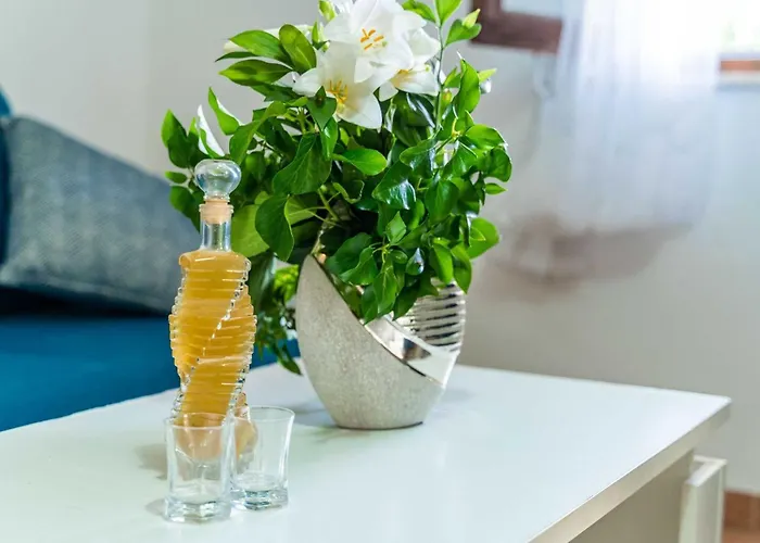 & Mara & Petrunjela - One Bedroom With Terrace And Sea View *