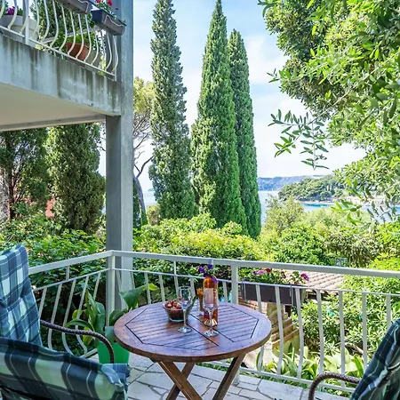 & Mara & Petrunjela - One Bedroom With Terrace And Sea View